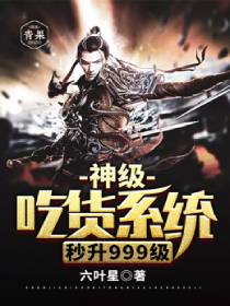 �񼶳Ի�ϵͳ����999��