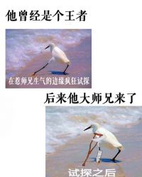 Сʦ����������һ��