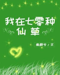 �����������ɲ�