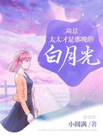 ½�ܣ�̫̫���������İ��¹�