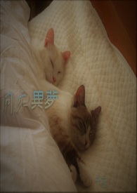 ͬ������